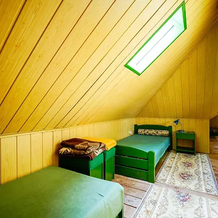 Daire Painter's House